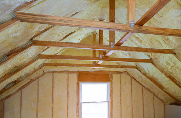 Best Insulation Contractors for Homes  in Dewitt, AR