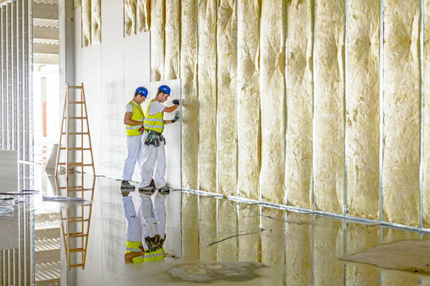 Best Insulation for Commercial Buildings  in Dewitt, AR